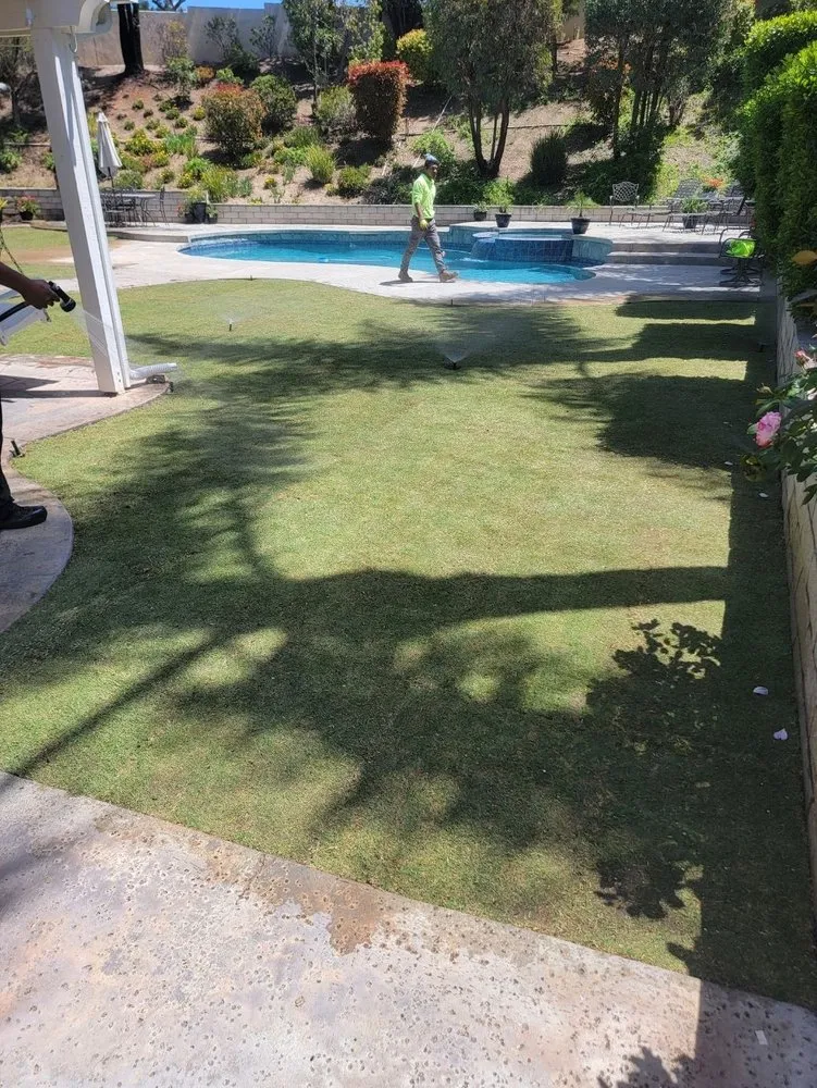 Affordable landscape installation experts serving Saint George, UT - Sultan's Tree Surgeon Expert