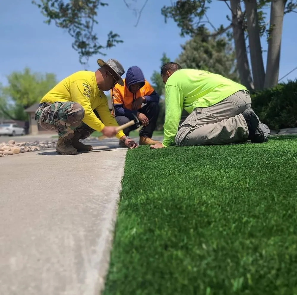 Top-rated landscaping services in Saint George, UT - Sultan's Tree Surgeon Expert