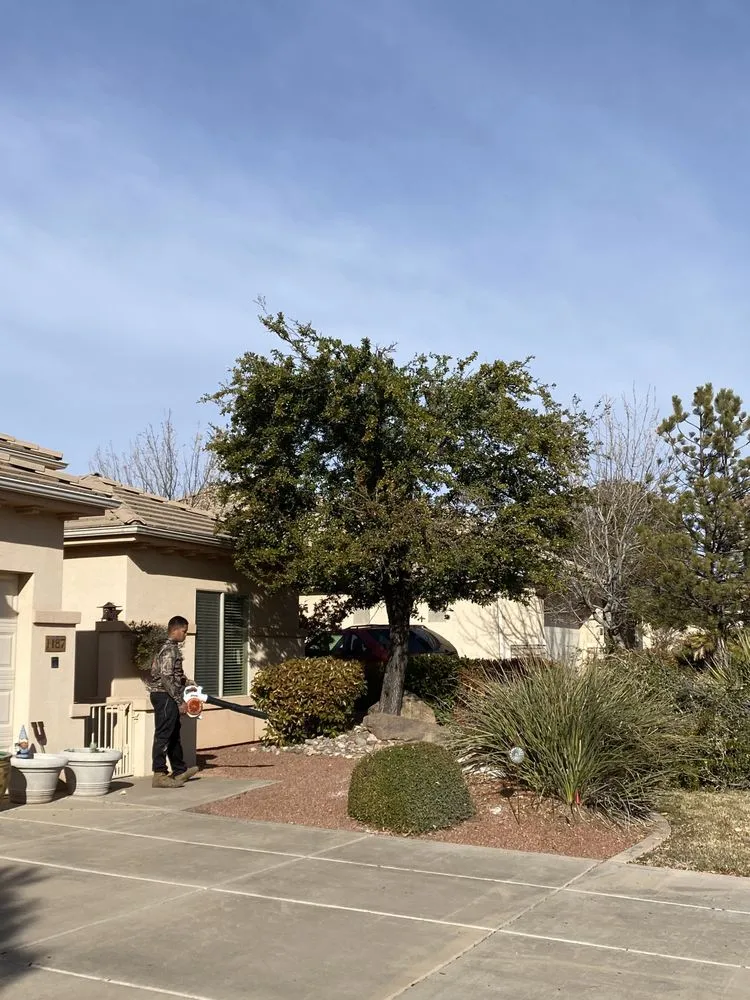 Expert outdoor landscaping for outdoor upgrades in Saint George, UT by Sultan's Tree Surgeon Expert