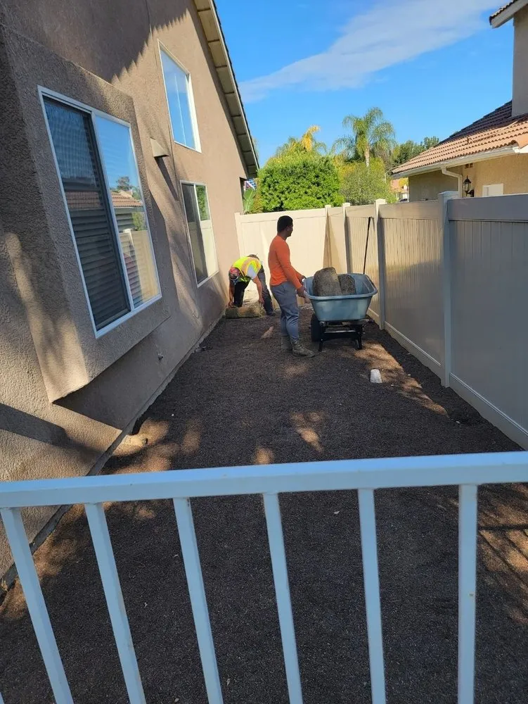 Reliable lawn care service in Saint George, UT - Sultan's Tree Surgeon Expert