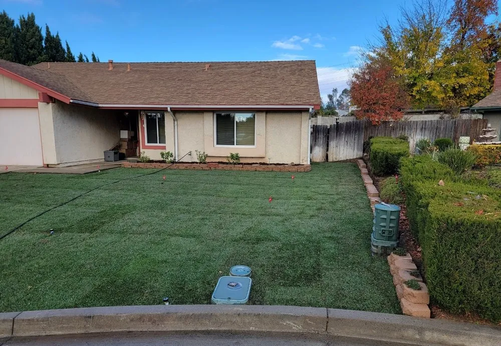 Professional lawn mowing service in Saint George, UT by Sultan's Tree Surgeon Expert