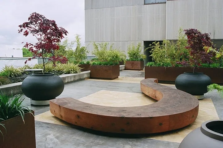 Professional lawn care service in San Leandro, CA by Suma Landscaping