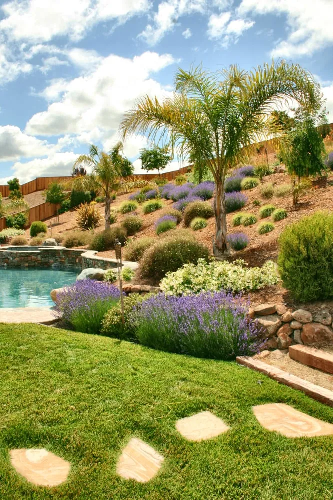 Trusted outdoor landscaping in San Leandro, CA - Suma Landscaping