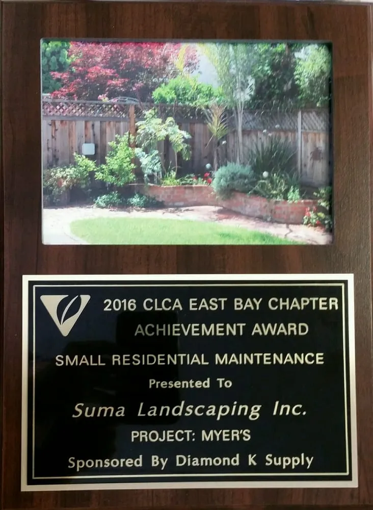 Reliable lawn care service in San Leandro, CA - Suma Landscaping