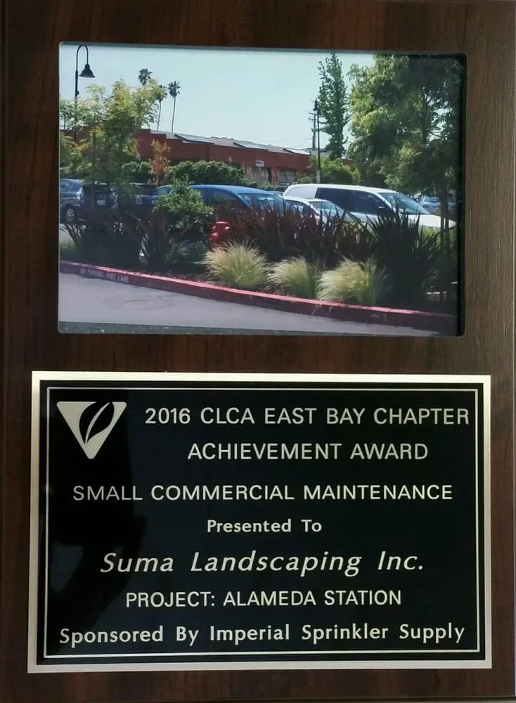 Reliable garden landscaping in San Leandro, CA by Suma Landscaping