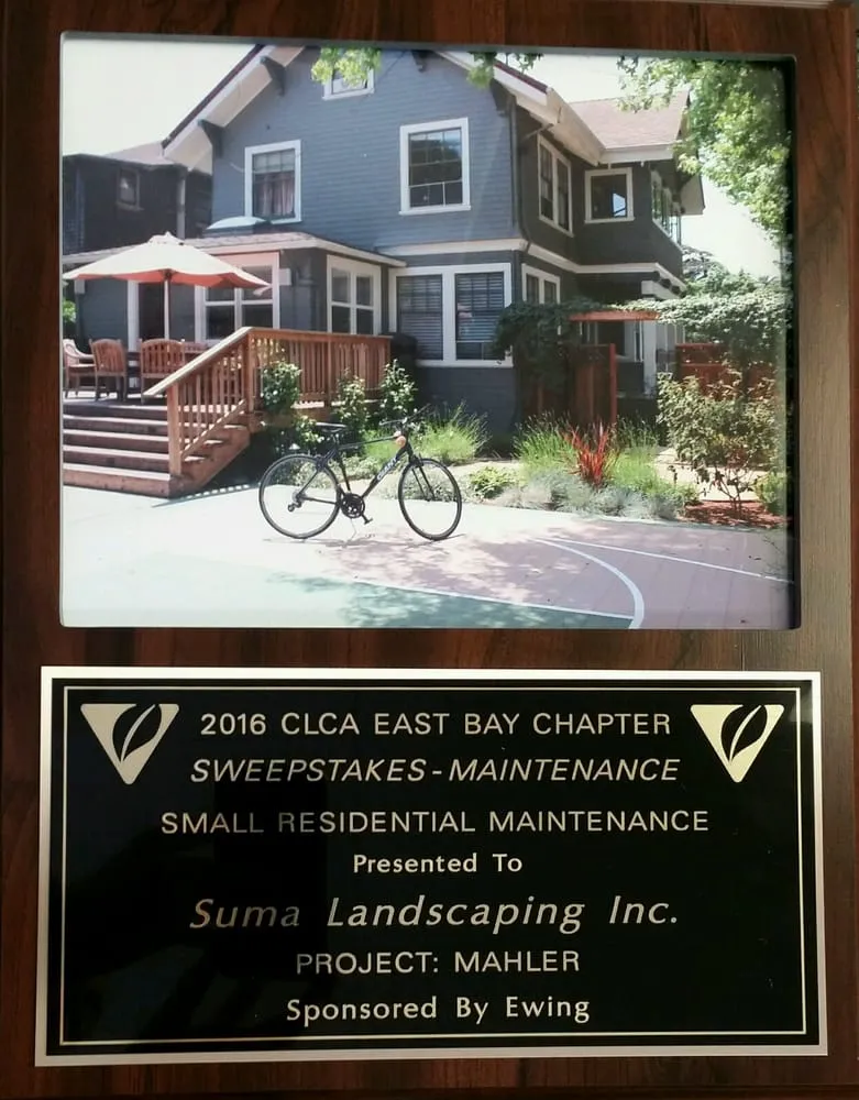 Reliable yard maintenance experts serving San Leandro, CA - Suma Landscaping