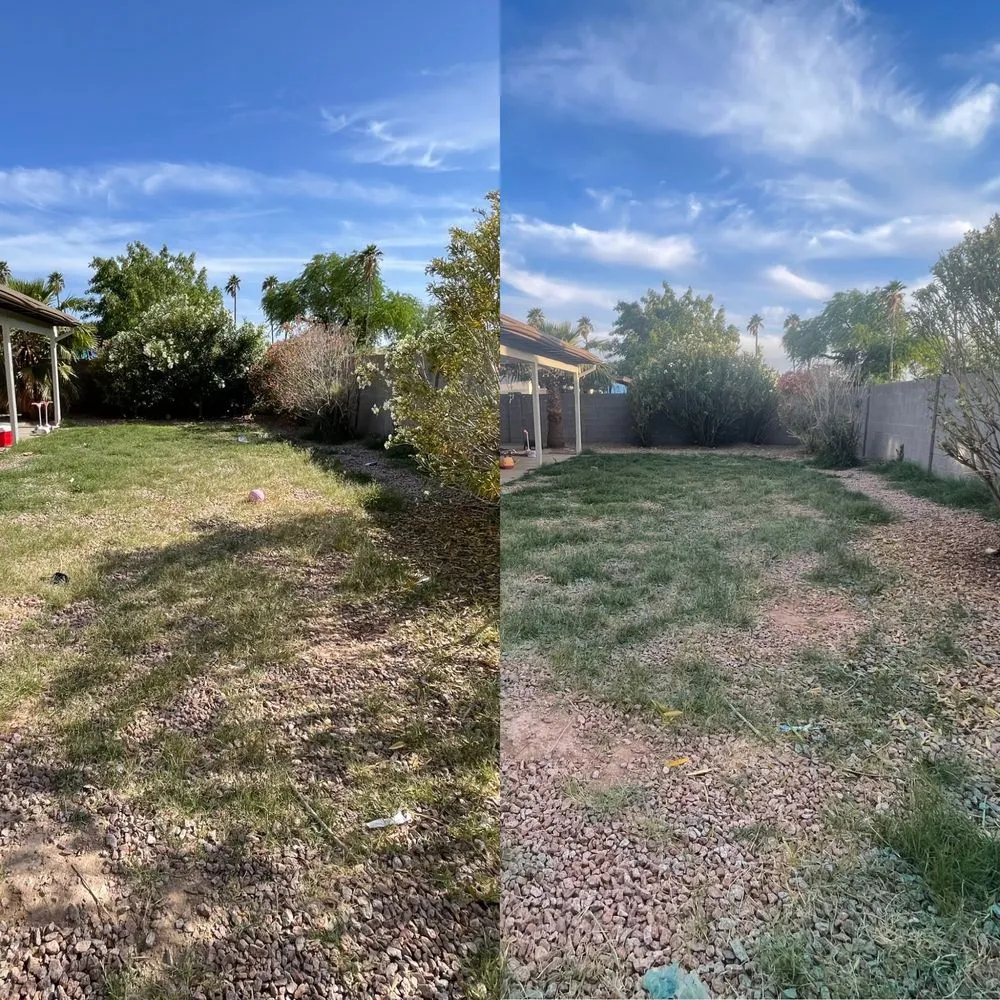 Local residential landscaping with custom design across Phoenix, AZ - Summer Breeze Landscape and Demo