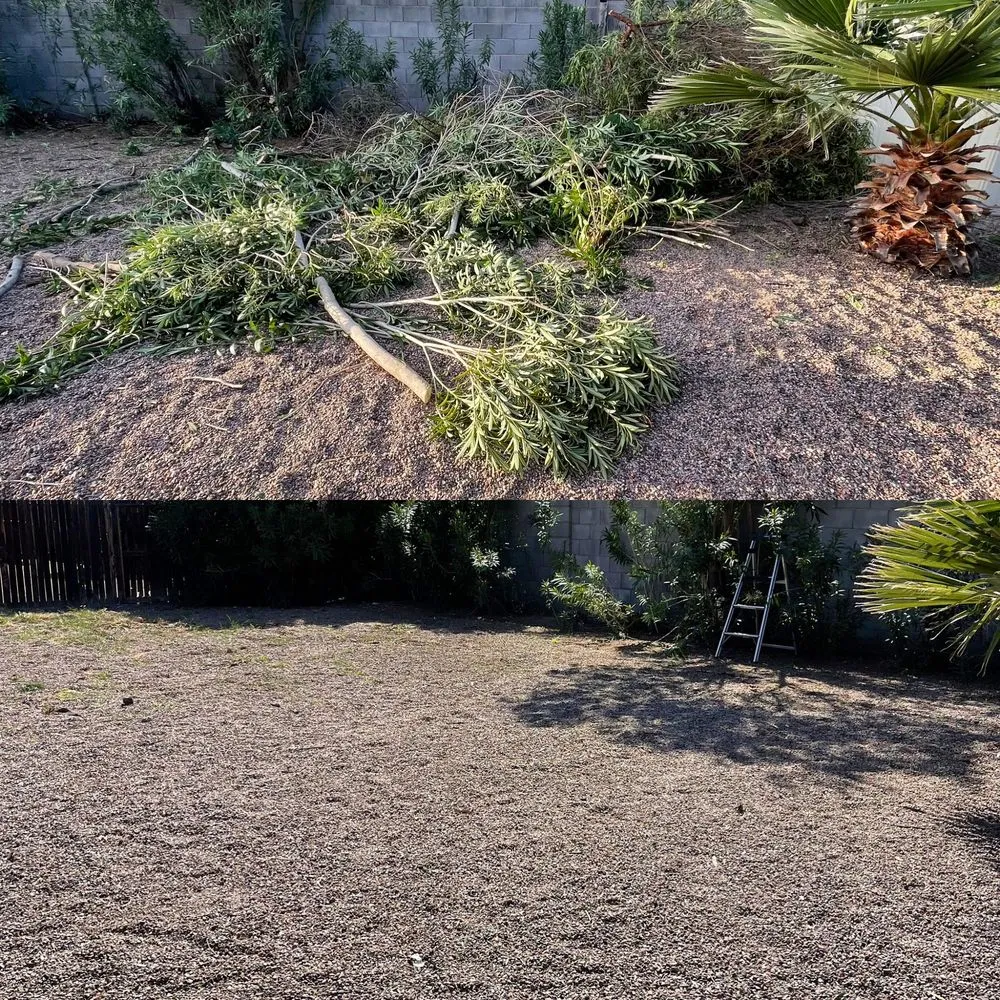 Custom outdoor landscaping in Phoenix, AZ by Summer Breeze Landscape and Demo