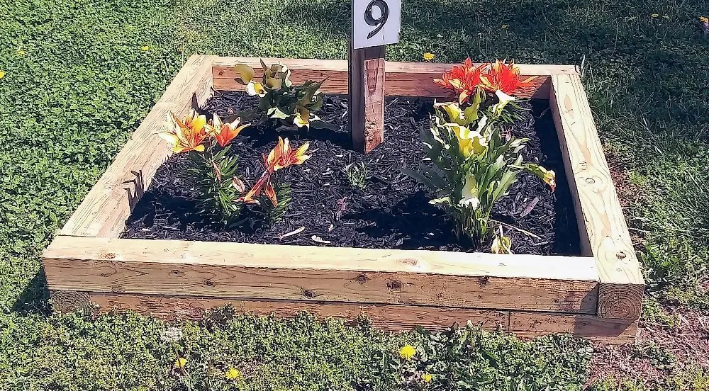 Affordable outdoor landscaping experts serving Earleville, MD - Summer Breeze Lawn Care