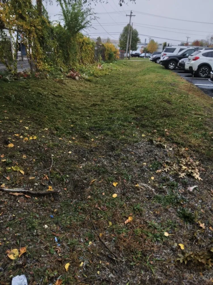 Professional landscaping services in Worster, MA - Summer Falls Landscape