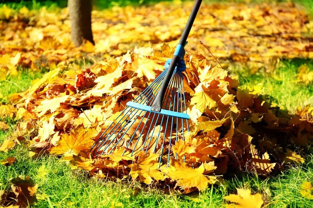 Professional outdoor landscaping in Worster, MA by Summer Falls Landscape