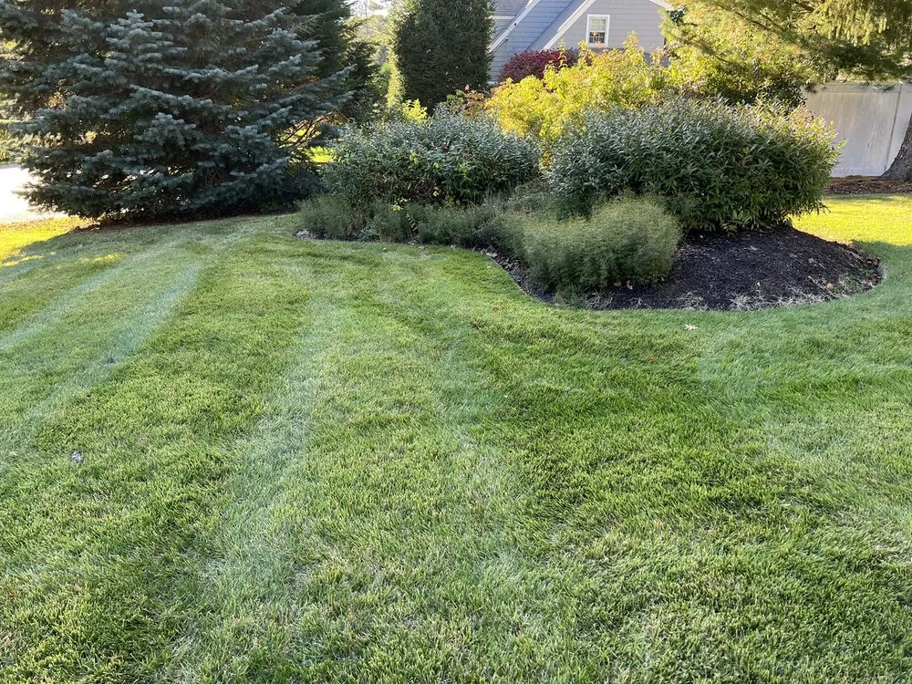 Affordable landscaping services in Stoughton, MA by Summer Green Landscape Inc