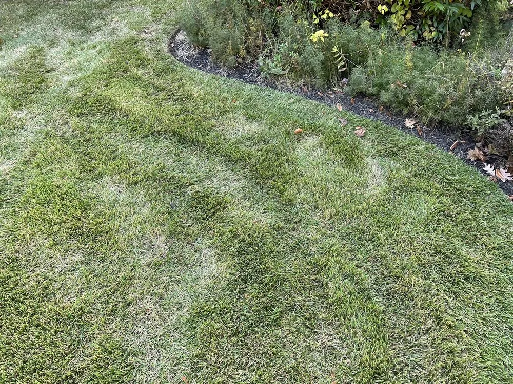 Custom landscaping services in Stoughton, MA - Summer Green Landscape Inc