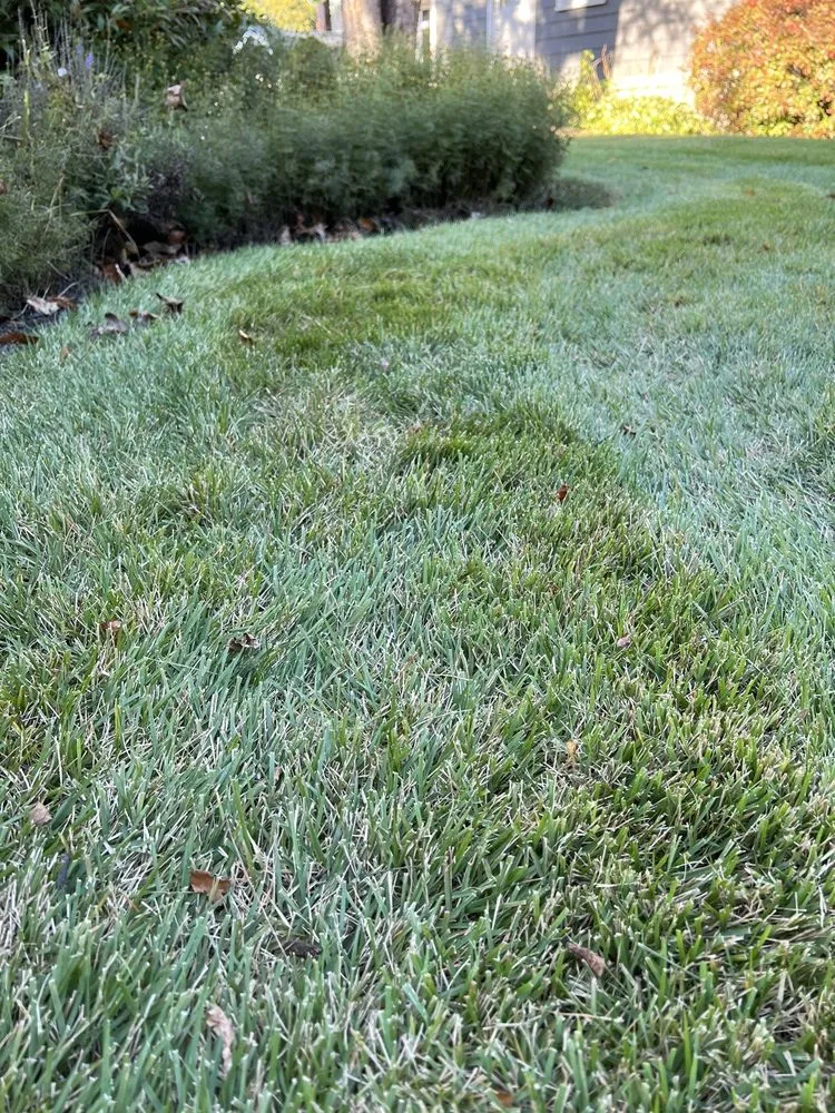 Reliable residential landscaping for beautiful yards across Stoughton, MA - Summer Green Landscape Inc