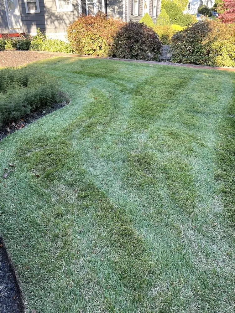 Custom lawn mowing service for residential properties in Stoughton, MA by Summer Green Landscape Inc