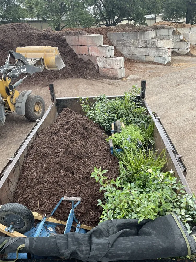 Trusted yard cleanup service experts serving Ladson, SC - Summer Landscape