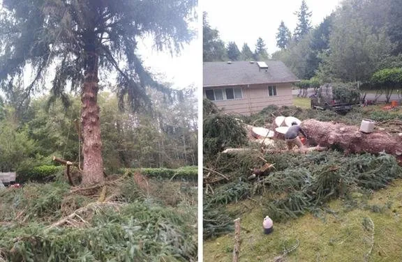 Local garden landscaping near you across Shelton, WA - Summer Landscaping & Tree Service