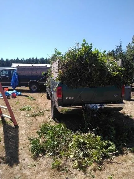 Trusted outdoor landscaping with custom design in Shelton, WA by Summer Landscaping & Tree Service