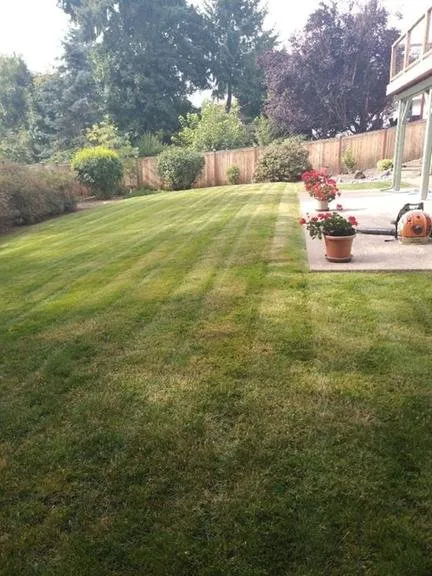 Custom landscape installation in Shelton, WA by Summer Landscaping & Tree Service