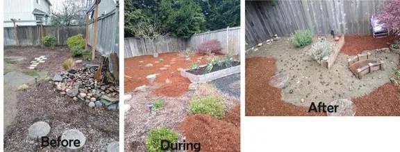 Local yard cleanup service in Shelton, WA - Summer Landscaping & Tree Service