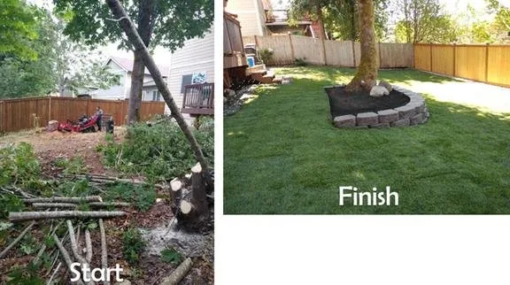 Trusted yard cleanup service in Shelton, WA - Summer Landscaping & Tree Service