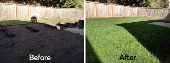 Summer Landscaping & Tree Service Logo