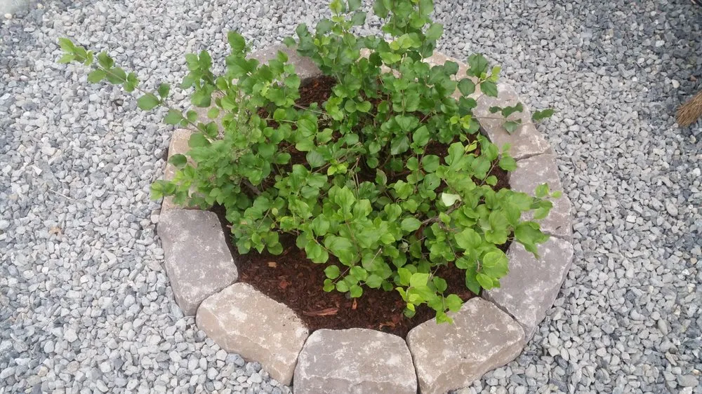 Expert landscape design in Anchorage, AK by Summer Landscaping