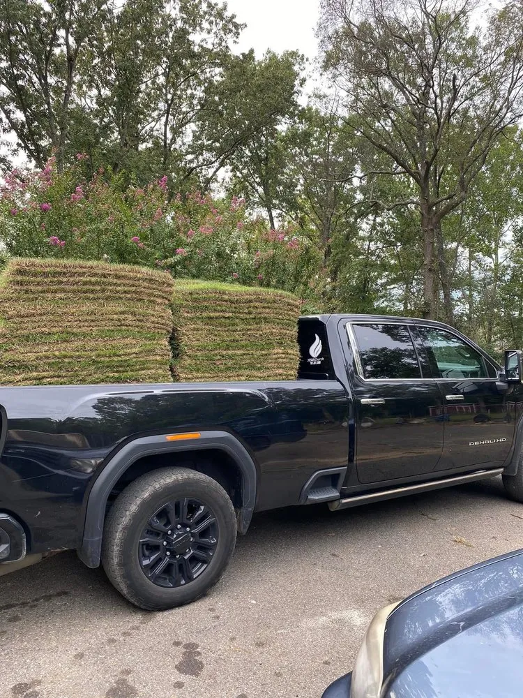 Affordable lawn care service near you in Memphis, TN by Summer Landscaping