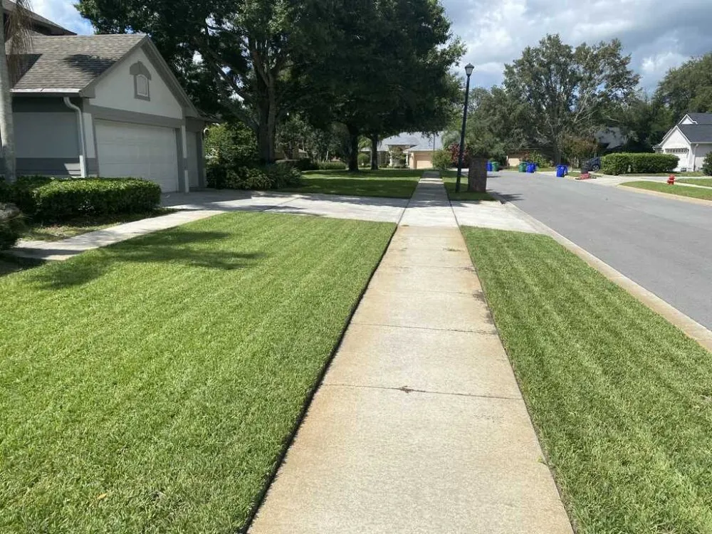 Custom yard maintenance in Surfside Beach, SC - Summer Lawn Care For Less