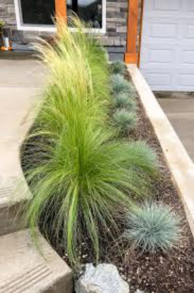 Affordable outdoor landscaping for homes in Surfside Beach, SC by Summer Lawn Care For Less