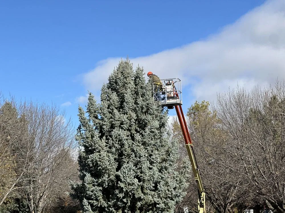 Local yard cleanup service for homes across Boise, ID - Summer Lawns