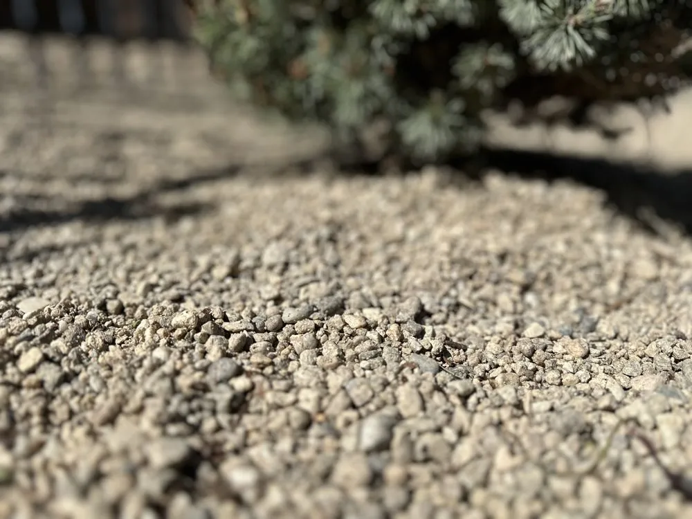 Top-rated landscape installation for homes across Boise, ID - Summer Lawns