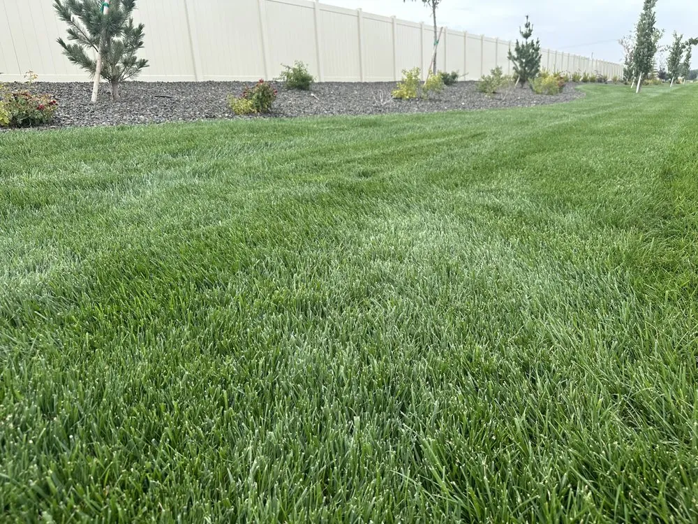 Custom residential landscaping experts serving Boise, ID - Summer Lawns