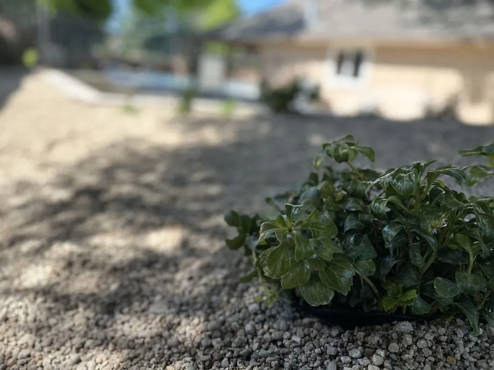 Affordable lawn mowing service for homes in Boise, ID by Summer Lawns