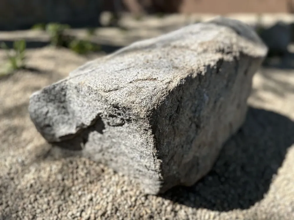 Trusted yard cleanup service for homes across Boise, ID - Summer Lawns