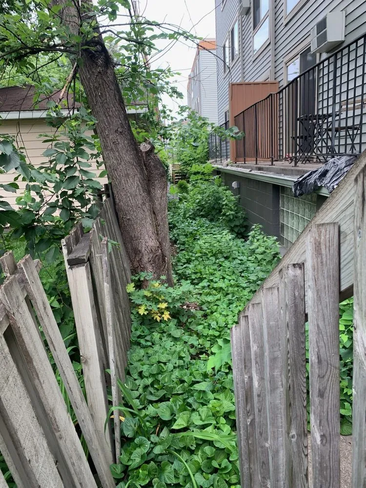 Reliable garden landscaping for beautiful yards across Shakopee, MN - Summer Snow