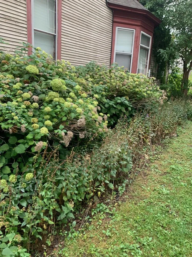 Expert landscaping services in Shakopee, MN by Summer Snow