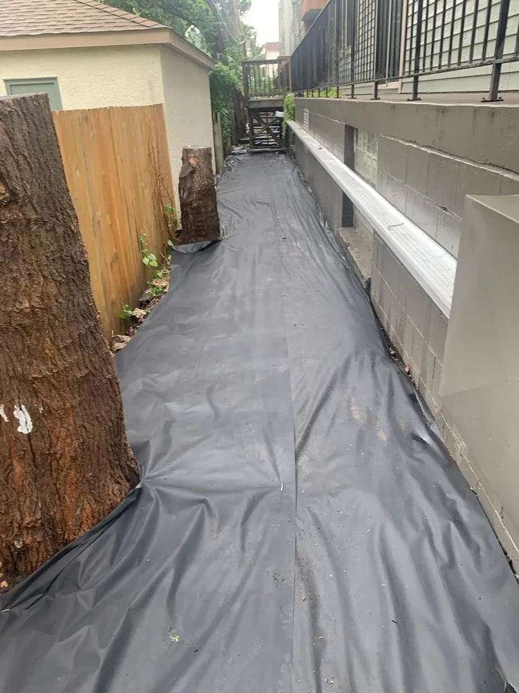 Reliable landscape design for residential properties across Shakopee, MN - Summer Snow