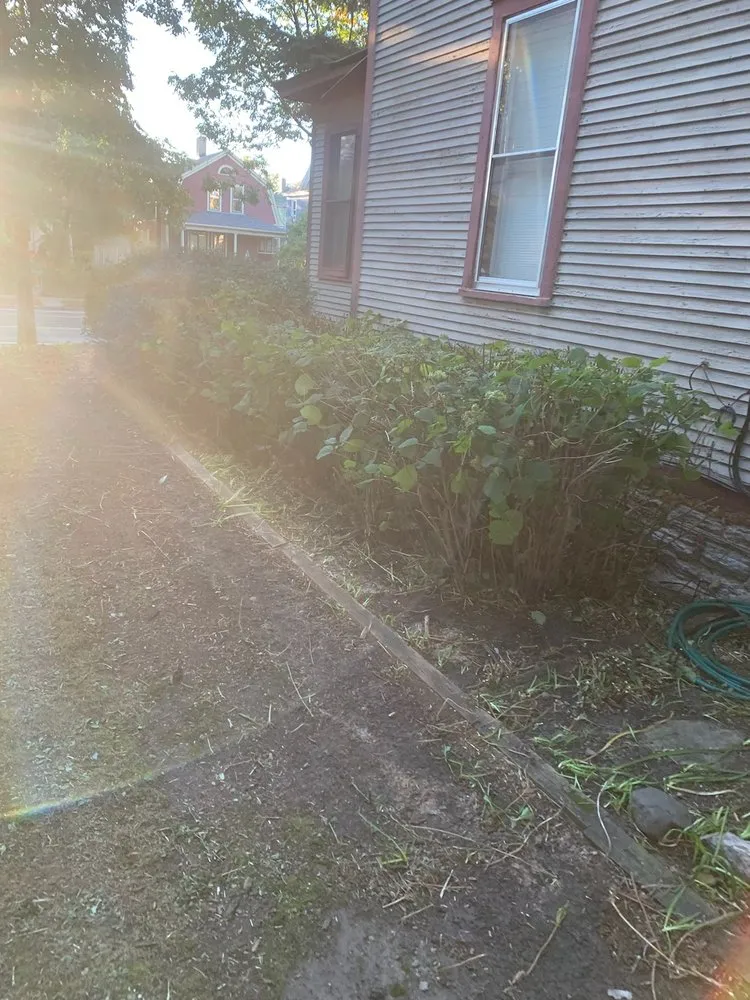 Top-rated garden landscaping with custom design in Shakopee, MN by Summer Snow