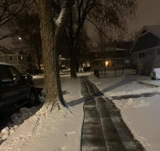 Custom yard cleanup service experts serving Shakopee, MN - Summer Snow