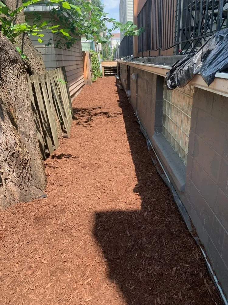 Expert lawn mowing service in Shakopee, MN - Summer Snow