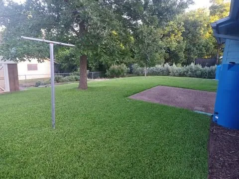 Reliable landscaping services experts serving Austin, TX - Summer Tree Pros