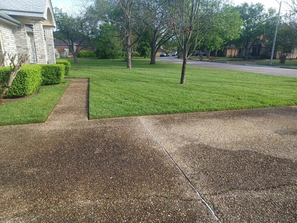 Affordable landscape design experts serving Austin, TX - Summer Tree Pros