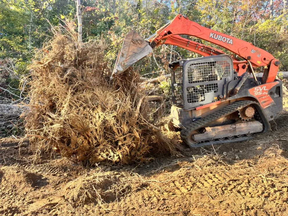 Professional garden landscaping in Taylors, SC - Summer view Landscaping