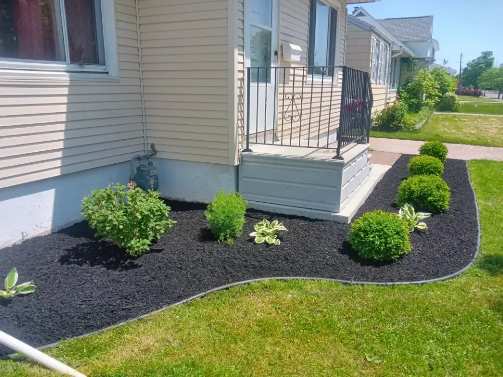 Expert yard maintenance near you across Williamsville, NY - Summer Wind Landscaping Professionals