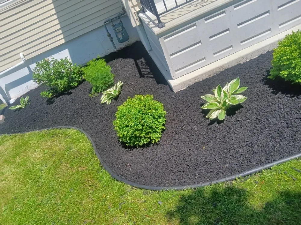 Reliable residential landscaping in Williamsville, NY - Summer Wind Landscaping Professionals