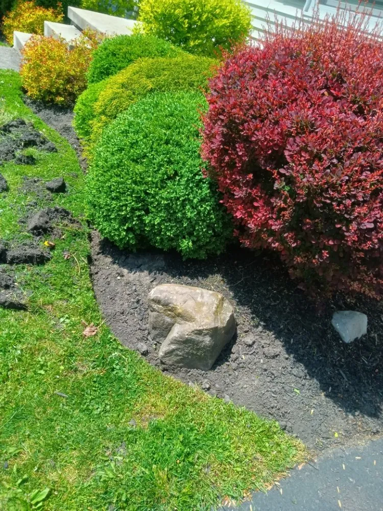 Local yard cleanup service for outdoor upgrades across Williamsville, NY - Summer Wind Landscaping Professionals