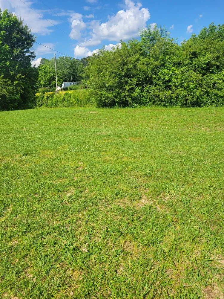 Affordable yard cleanup service in Dutton, AL by Summerford's Lawncare and Pressure Washing