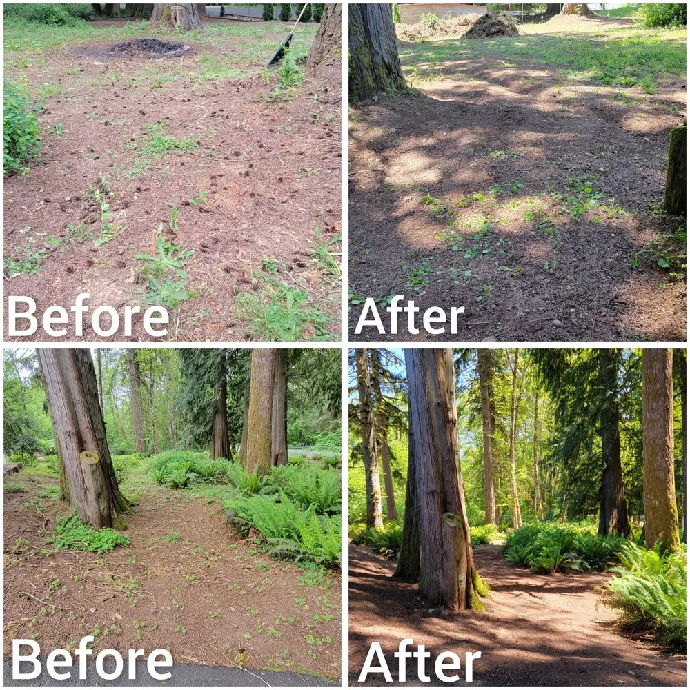 Professional residential landscaping in Battle Ground, WA by Summer's Home & Lawn Care