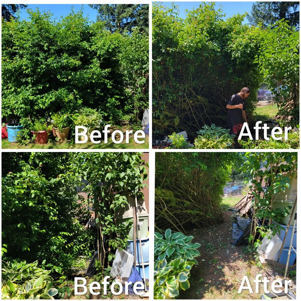 Expert yard cleanup service for residential properties in Battle Ground, WA by Summer's Home & Lawn Care